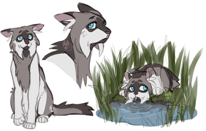 EXPERIMENTAL SKETCH PAGE