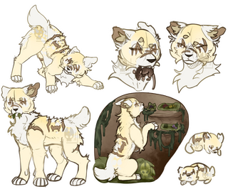 EXPERIMENTAL SKETCH PAGE